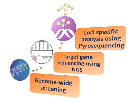 NGS Next-Gen Sequencing