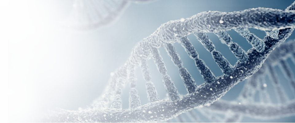 targeted gene next-gen sequencing